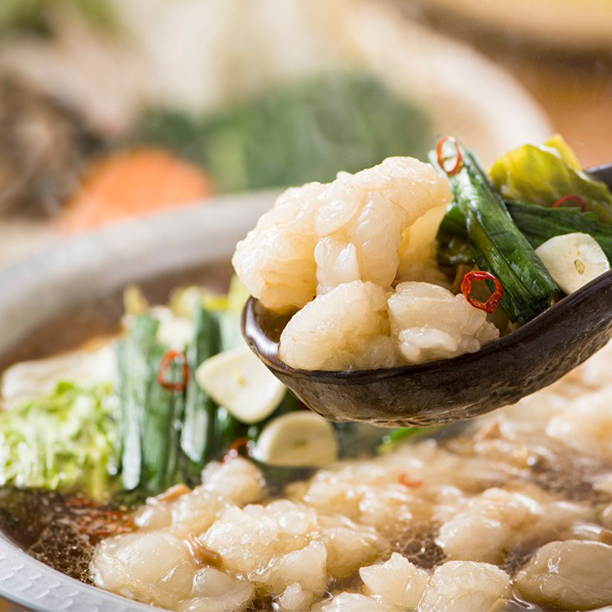 但馬牛ぷるるんもつ鍋