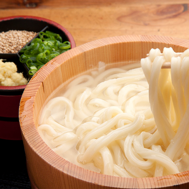 さぬきの小麦の生うどん（2～3人前）