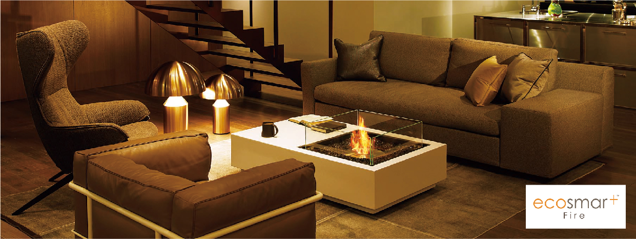 ecosmart Fire