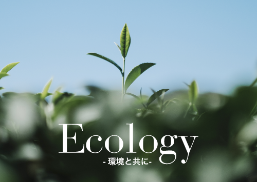 Ecology 環境と共に