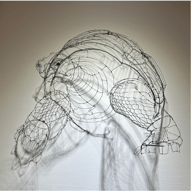 wireart Giant Tortoise