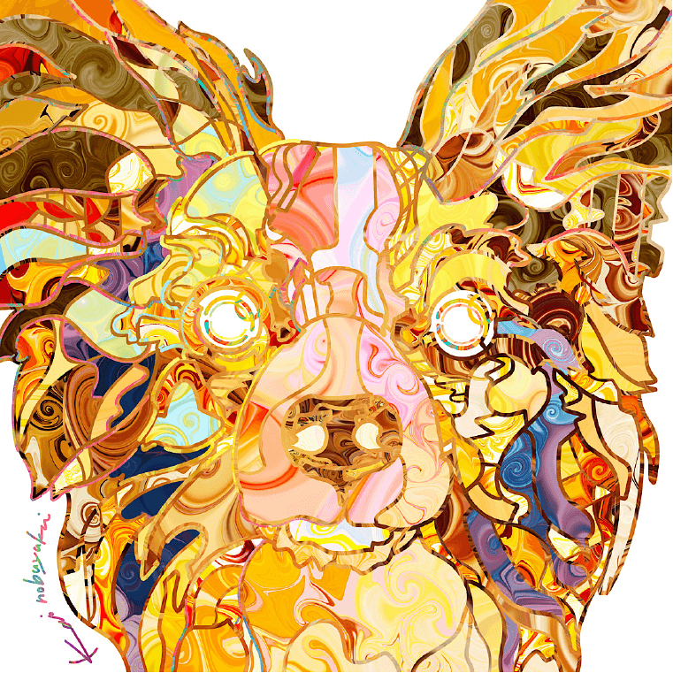 Papillon × Pancake