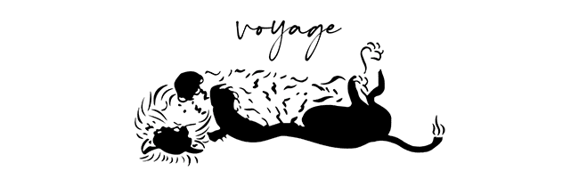 voyage