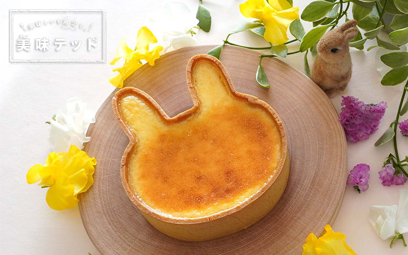 〈Lapin Angelique〉メイン1