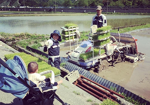 田植えの写真