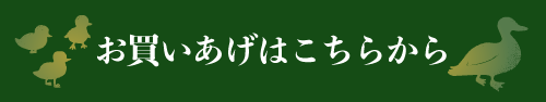 お買いあげはこちらから