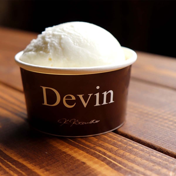 Devin