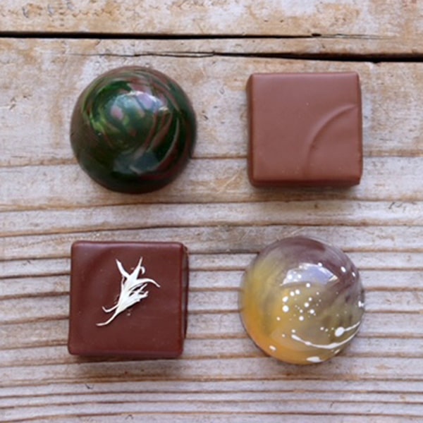 兵庫県養父市 Devin