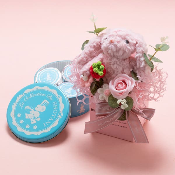 兵庫県尼崎市 コレクション・ド・ショウタニ